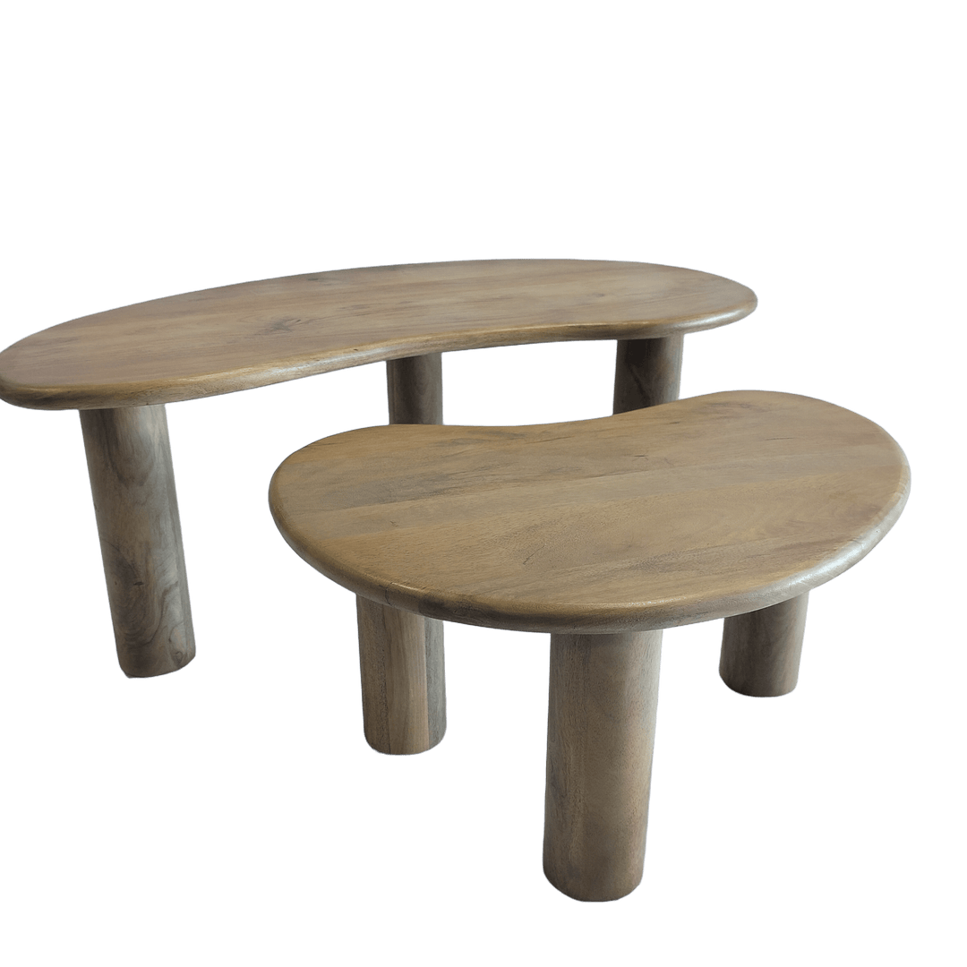 SET 2 MESAS CENTRO ORGÁNICA MADERA